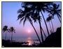 Houseboat Experience Backwaters Kerala